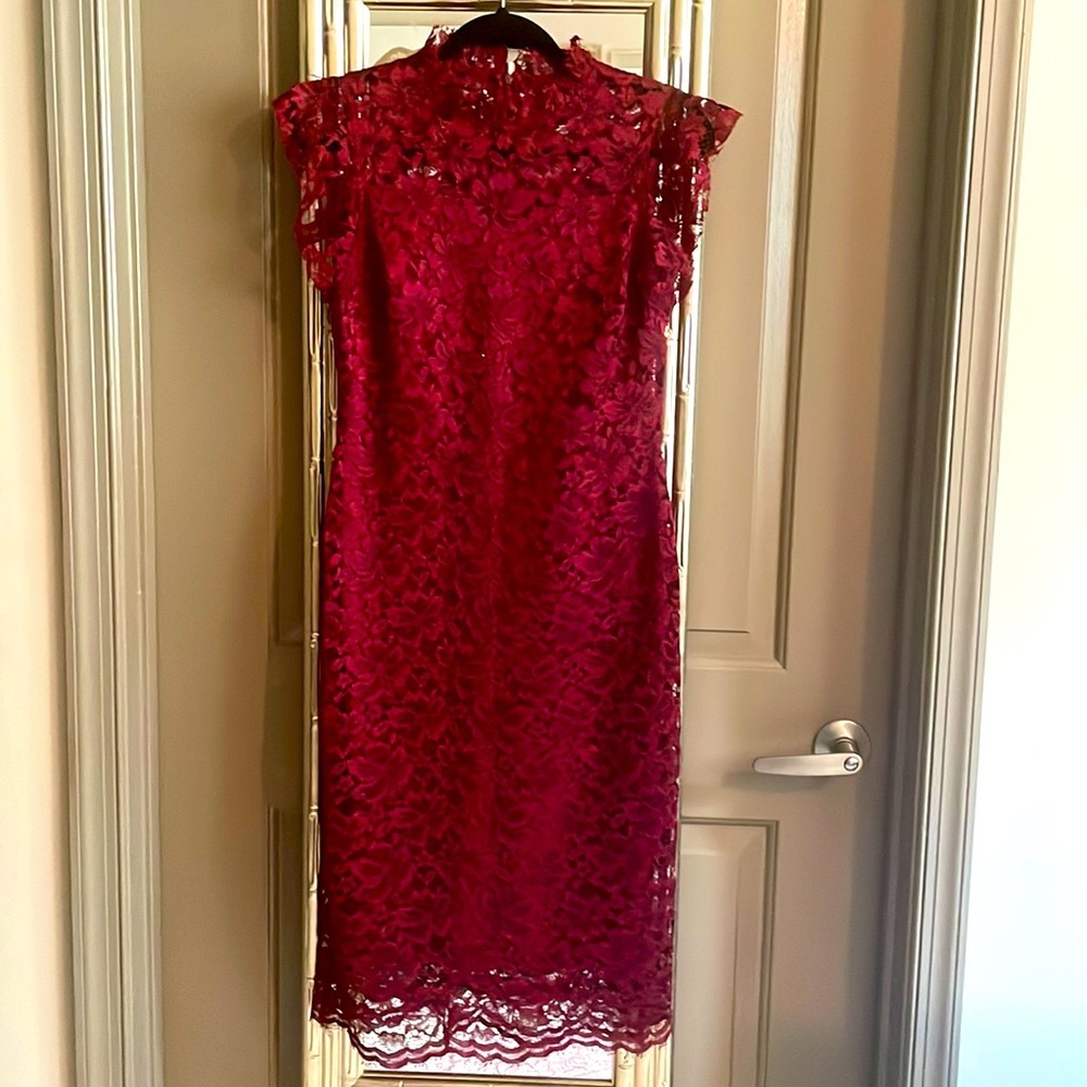 Enfocus Studio Wine Colored Lace Dress (6)